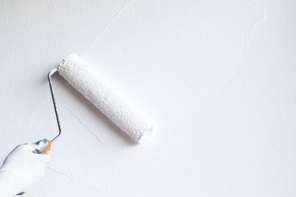 Sơn lót và sơn hoàn thiện 