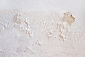 Tường nhà bị bong tróc