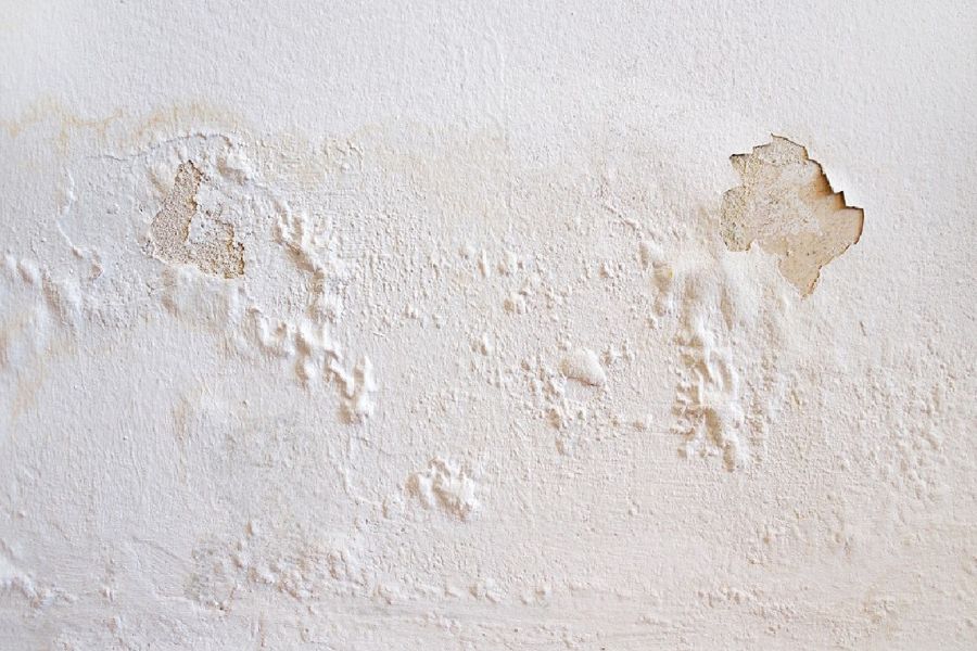 Tường nhà bị bong tróc 